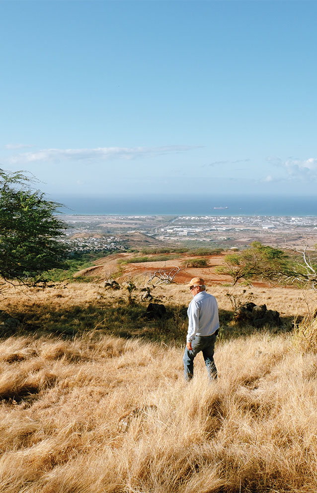 man in jeans and white sweatshirt stands in distance in tall wheat-colored grass. 